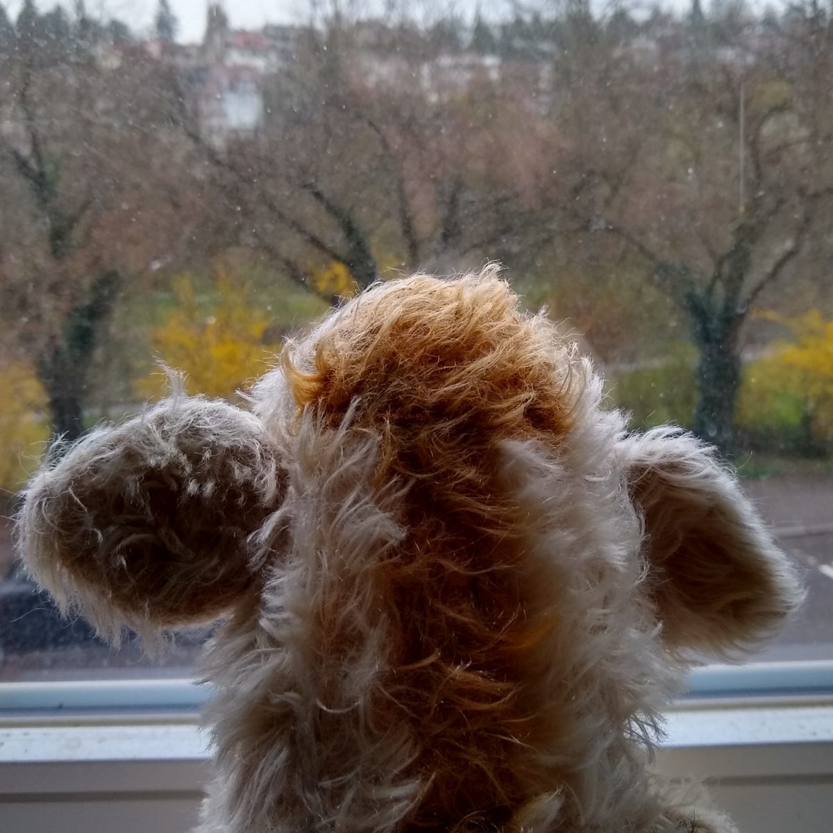 Wilma Wusel entdeckt einen Baum