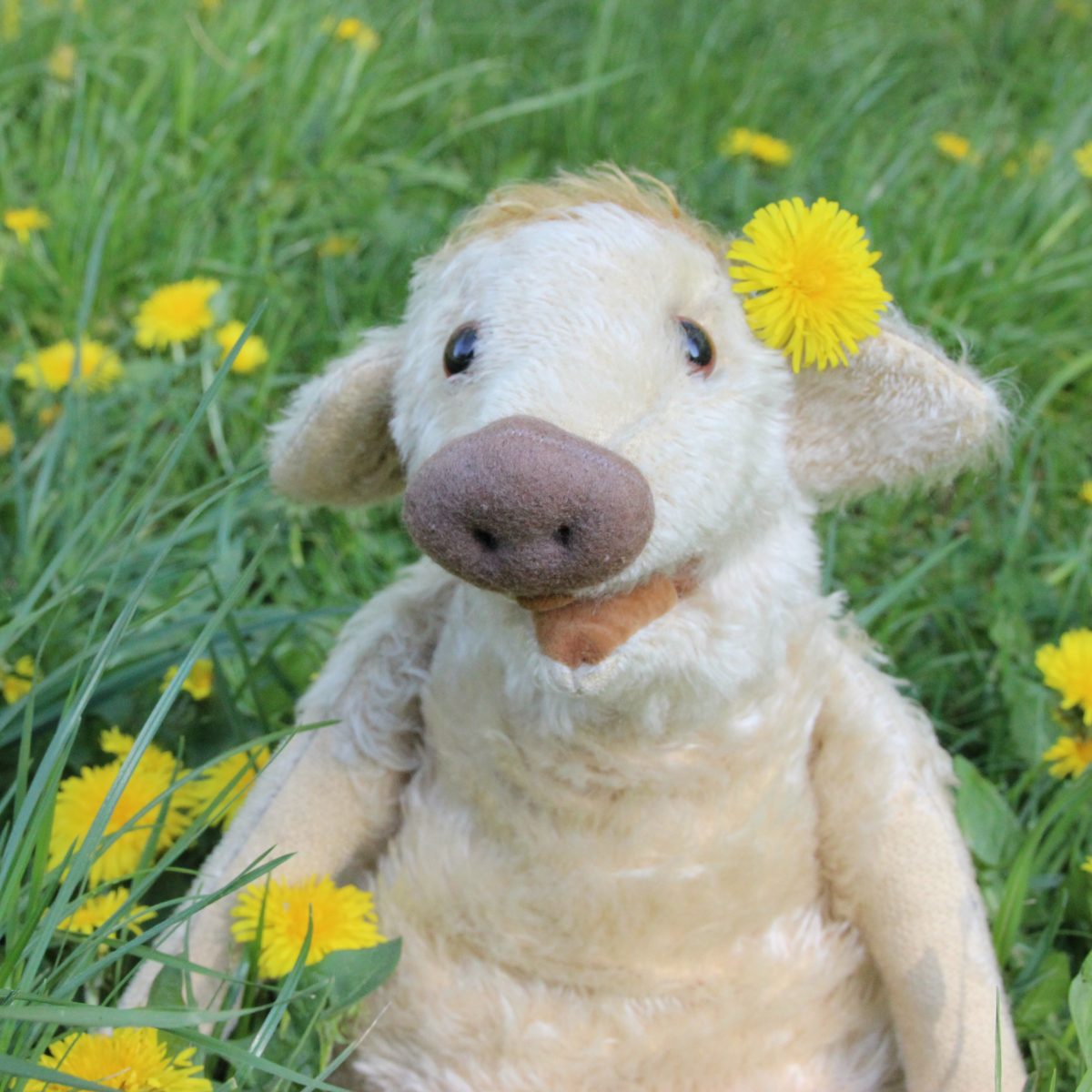 Wilma Wusel entdeckt den Löwenzahn