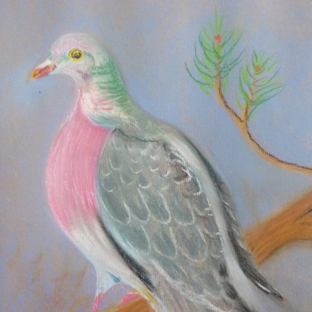 Wilma Wusel entdeckt die Vögel