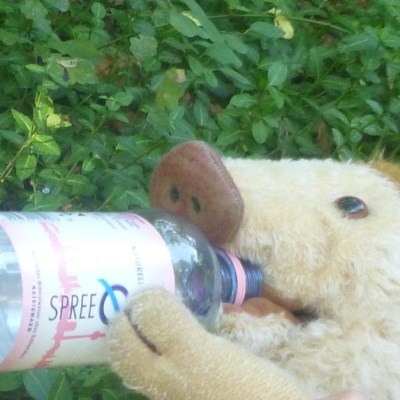 Wilma Wusel entdeckt die Spree
