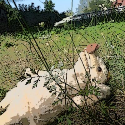 Wilma Wusel entdeckt einen Sommerduft