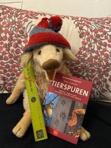 Frischling Wilma Wusel sitzt in einer Wohnung auf dem Sofa und zeigt ihre Weihnachtsgeschenke.