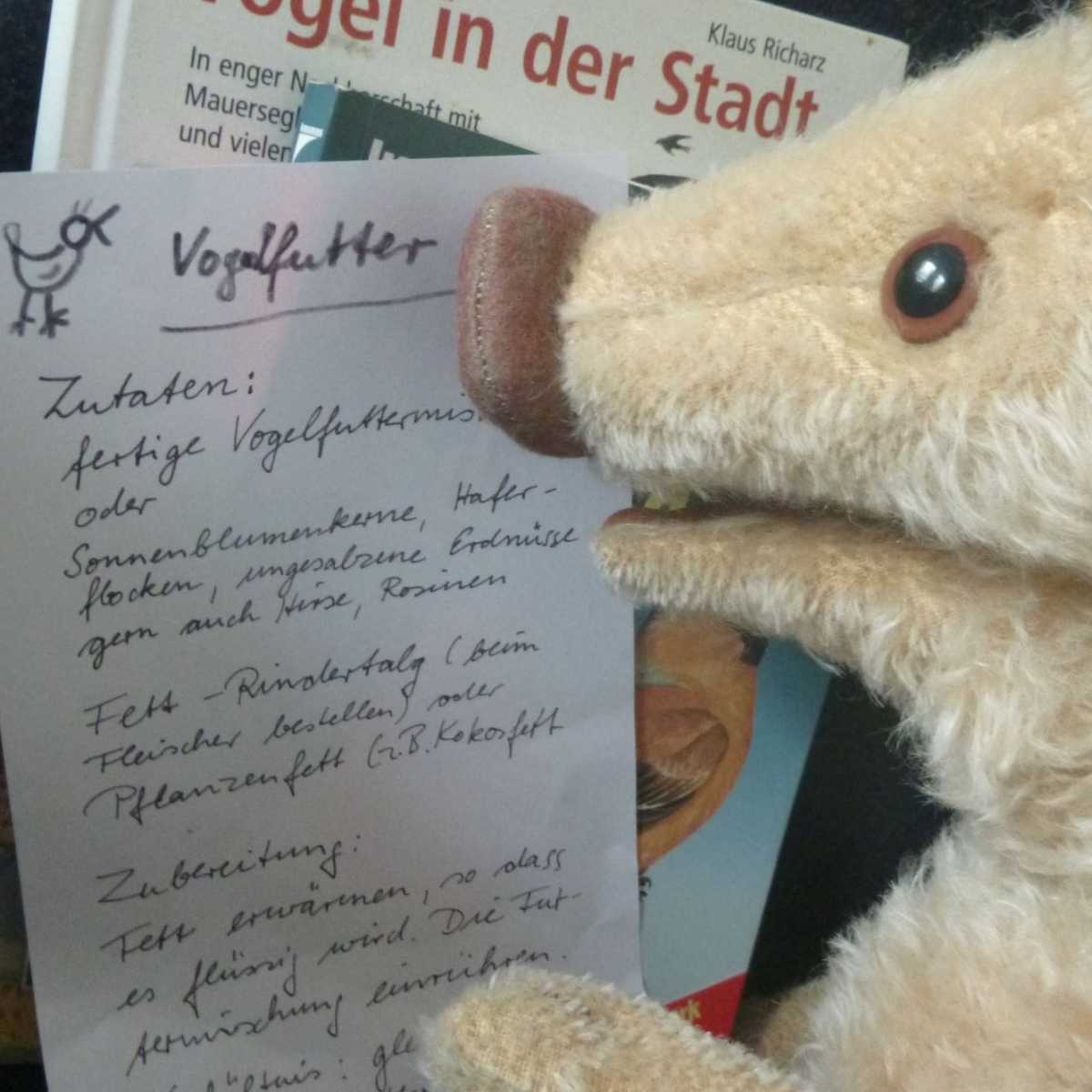 Wilma Wusel entdeckt Wintervögel