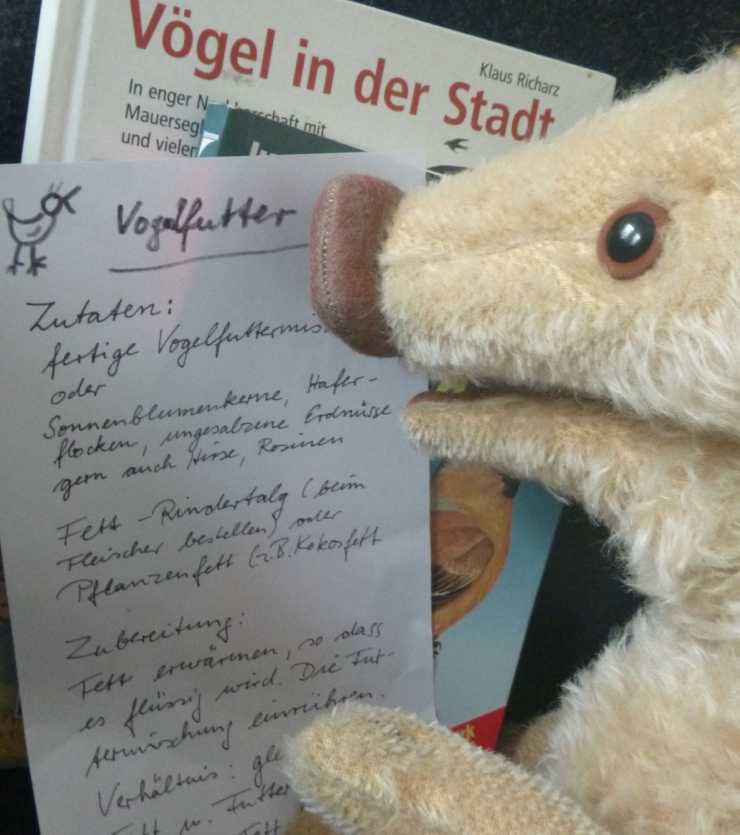 Wilma Wusel liest konzentriert ein handgeschriebenes Rezept für Vogelfutter.