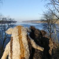 Schatzsuche in Nikolassee