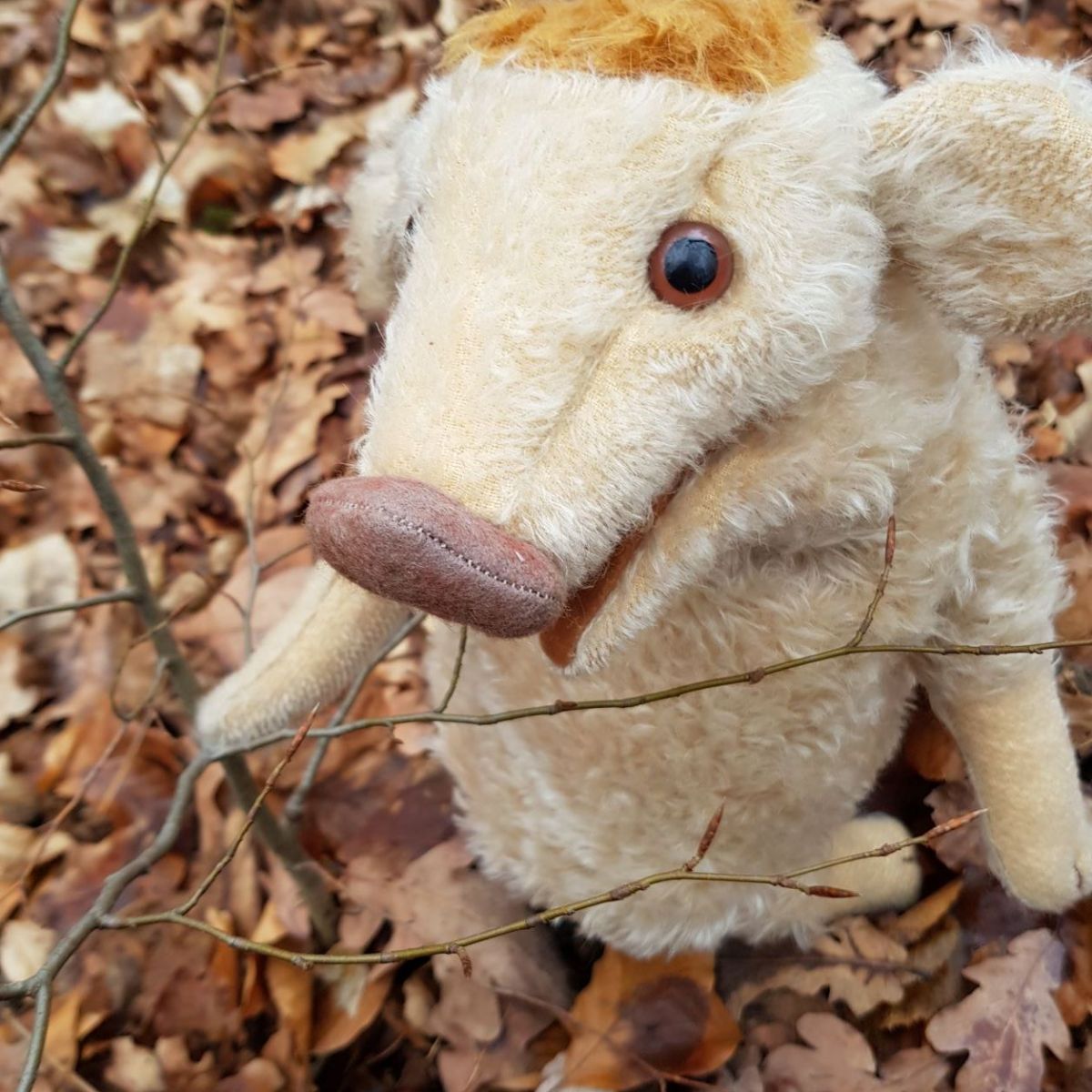 Wilma Wusel entdeckt Knospen