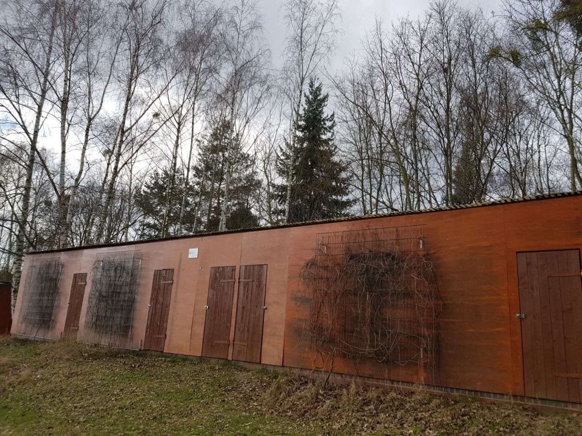 Die Wildvogelstation des NABU Berlin