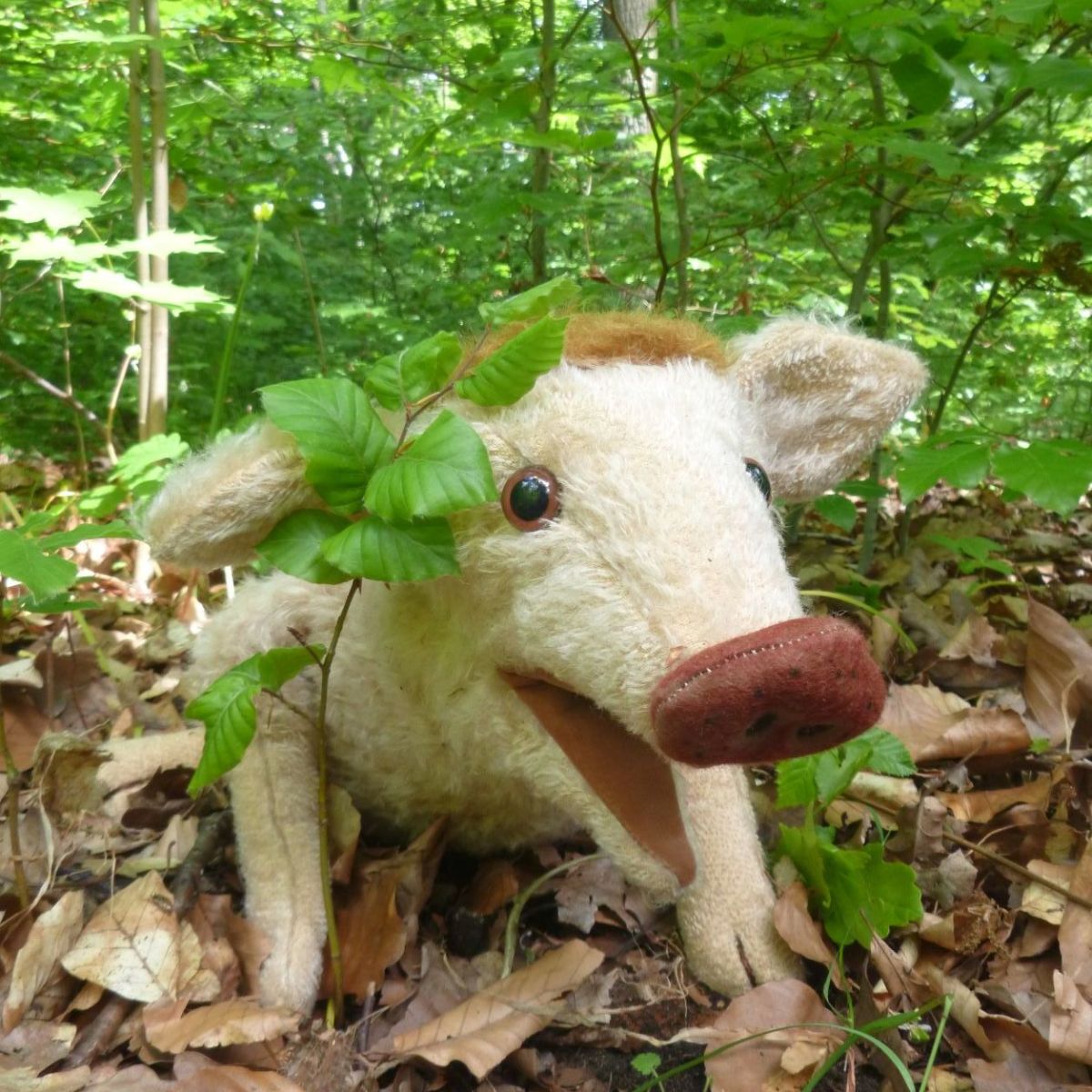 Wilma Wusel entdeckt Baumkinder