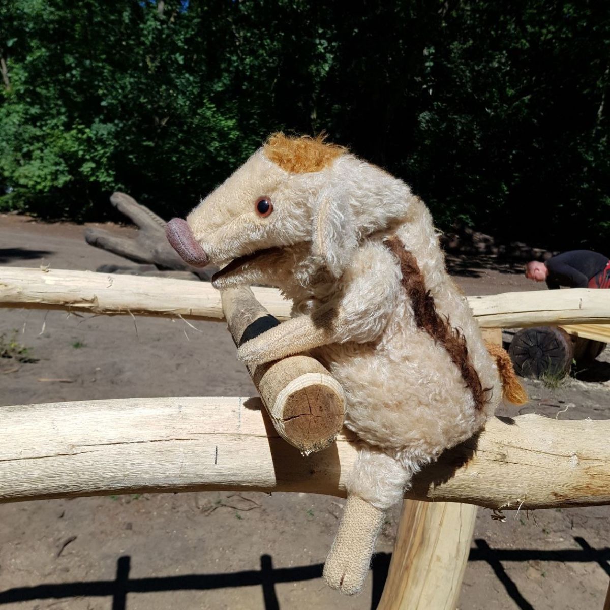 Wilma Wusel entdeckt einen neuen Waldspielplatz