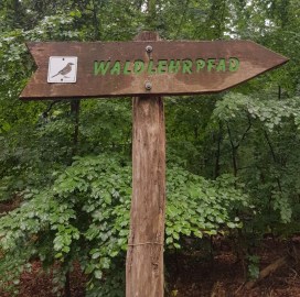 Ein Foto vom Wegweiser des Waldlehrpfades Hermsdorf