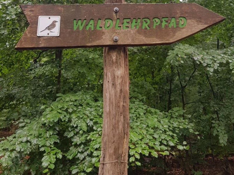 Waldlehrpfad Hermsdorf