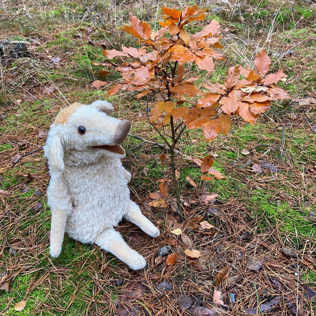 Wilma Wusel pflanzt einen Baum