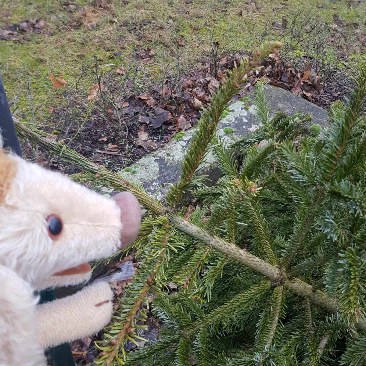 Wilma Wusel entdeckt die Reste vom Feste