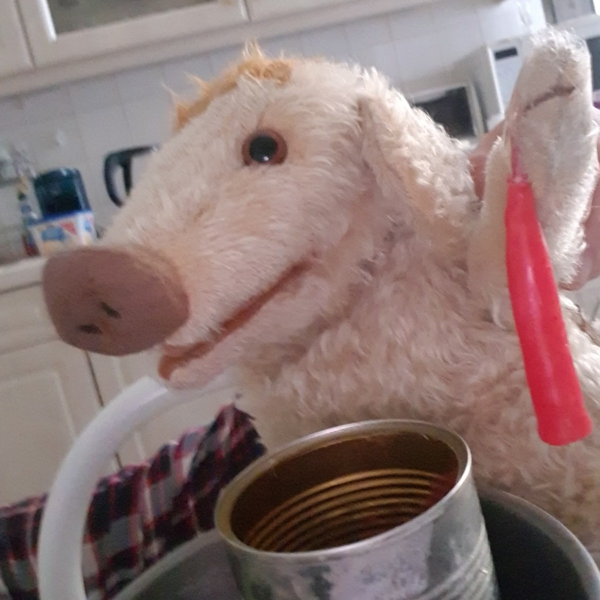 Wilma Wusel entdeckt Reste vom Feste/ 2